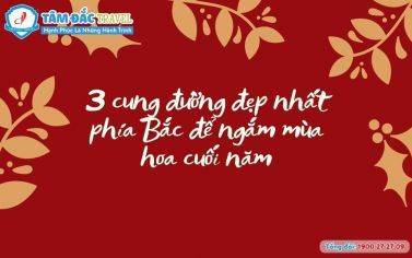 3 cung đường đẹp nhất phía Bắc để ngắm mùa hoa cuối năm